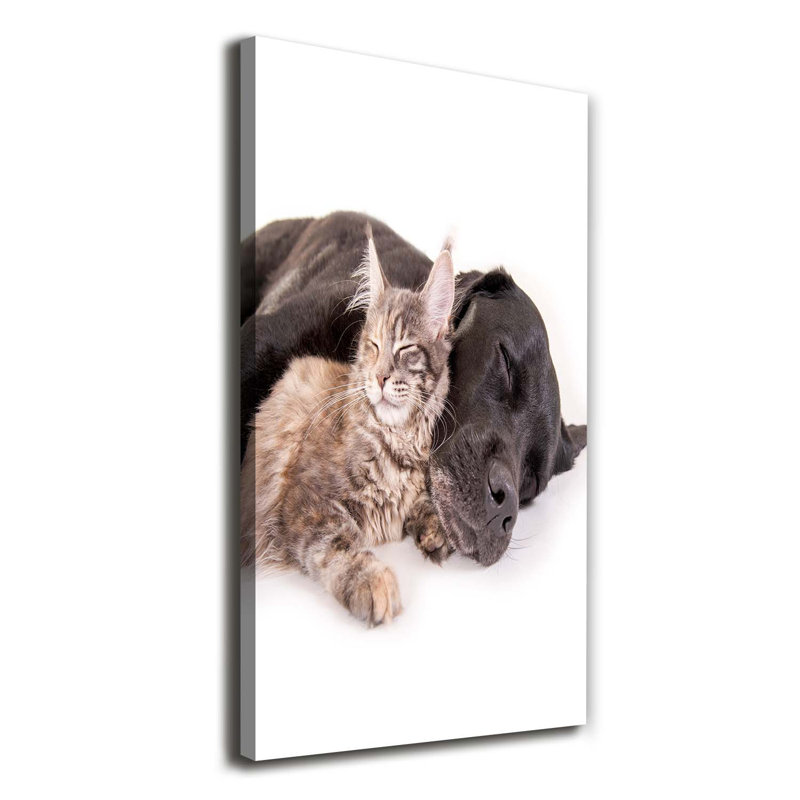 White Wolf On The Rock - Wrapped Canvas Print