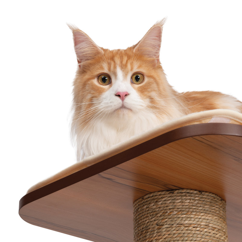 Catit Vesper High Base Giant, Walnut