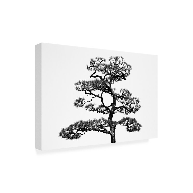Art sur toile de pin japonais par Andrea Nero, H 12 po x l 19 po