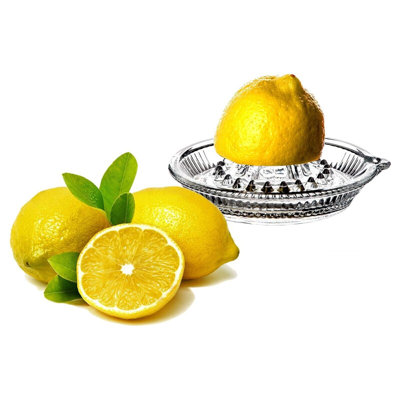 Rosdorf Park Akia Manual Citrus Juicer
