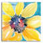 «Sunny 2» par Kristy riz, art mural en verre acrylique-606352168