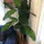 Customer photo 3 of 3