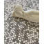 Oyster Glass Penny Round Mosaic Wall Tile