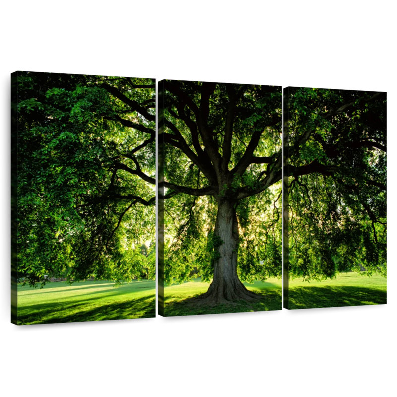 Arbre Harnek, H 48 po x l 74 po