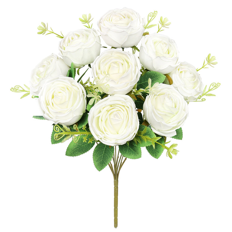 Rosiers Torres, Blanc crème