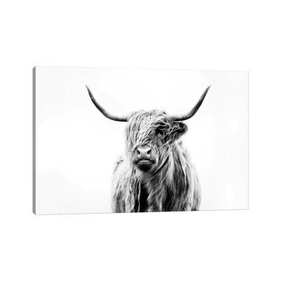 Bairdstown Portrait Of A Highland Cow by Dorit Fuhg - Print on Canvas