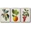 Garden Gems I, ensemble de 3 pièces encadrées sur toile-606194153-606194154