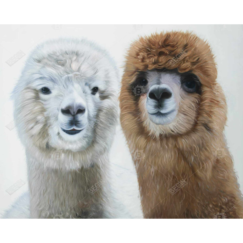 Two Lamas - Bedroom Hygge Framed Canvas for Home Decor