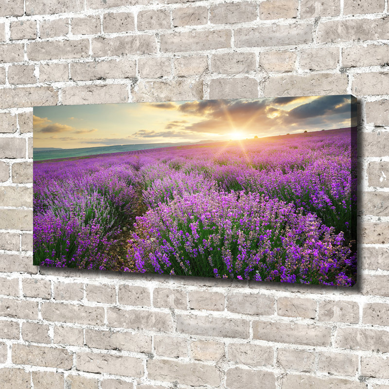 Lavender Field - Wrapped Canvas Print
