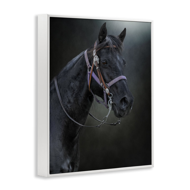 Pride Of The Pasture Horse, estampe numérique, conception de Kelley Parker, H 20 po x l 16 po