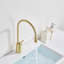Robinet pour salle de bain à poignée simple avec drain