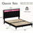 Alber Velvet Upholstered Platform Bed with Storage Headboard and Charging Station,Bed Frame with Diamond Design and LED Lights-2118561677-2118561667