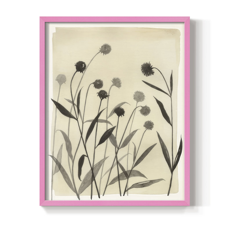 Summer Echinachea I Framed Print - Solid Wood, H 21 po x l 17 po, Rose
