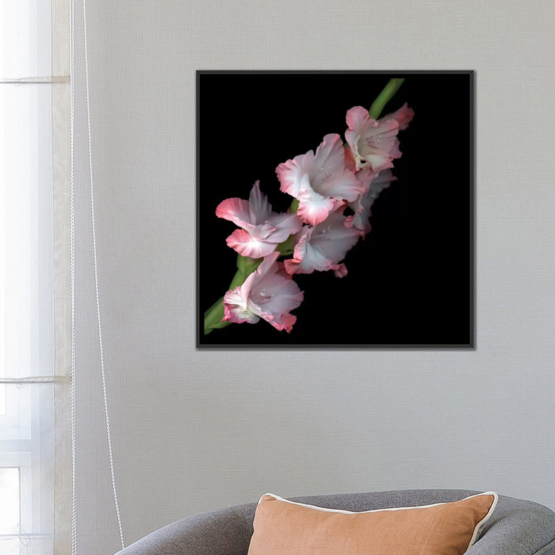 Modern & Contemporary, 26" H x 26" W x 1.5" D, Black Framed Canvas, No Mat