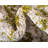 Rizer Washable Abstract Indoor Rug-2115346018
