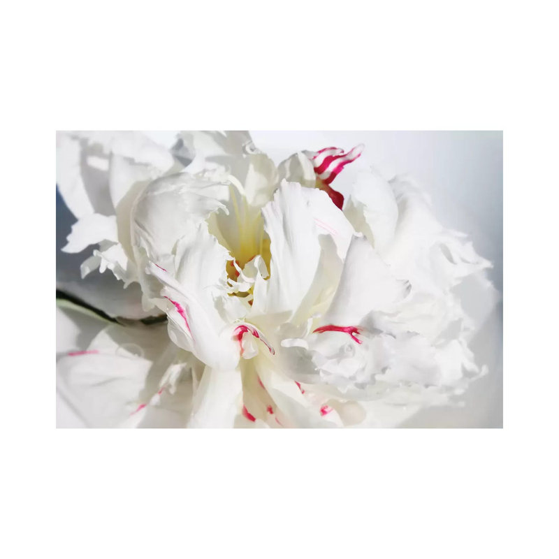 Breathless I by Irena Orlov - Wrapped Canvas Gallery-Wrapped Canvas Giclée, 20.32 cm H x 30.48 cm W