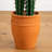 41in. Artificial Cactus in Terracotta Planter-1396300893
