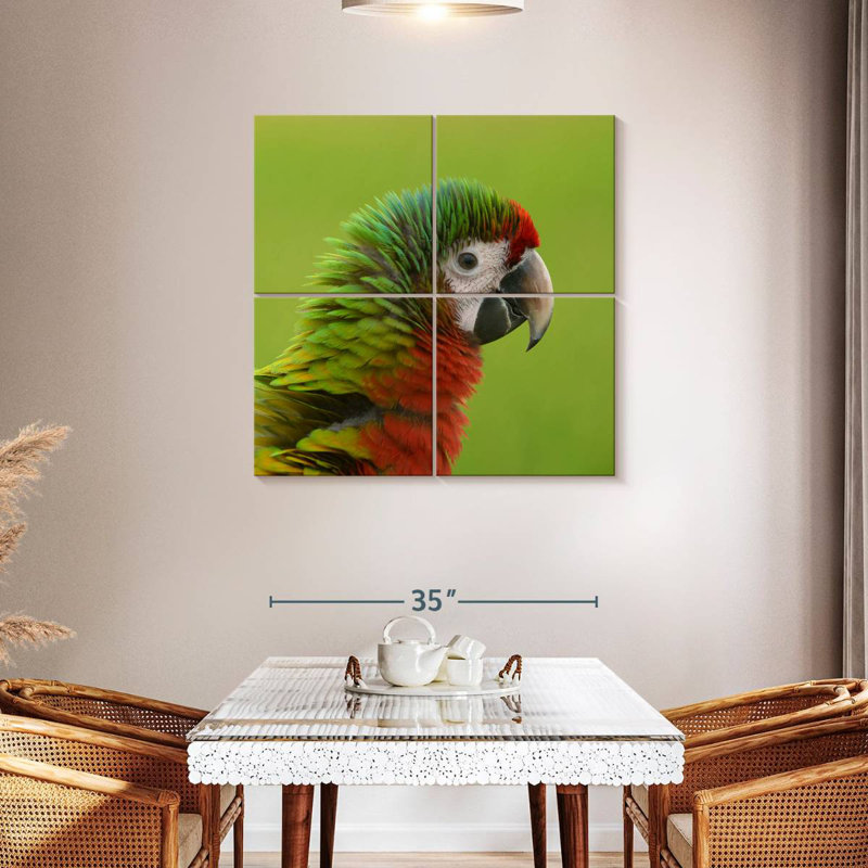 Macaw Bird Head