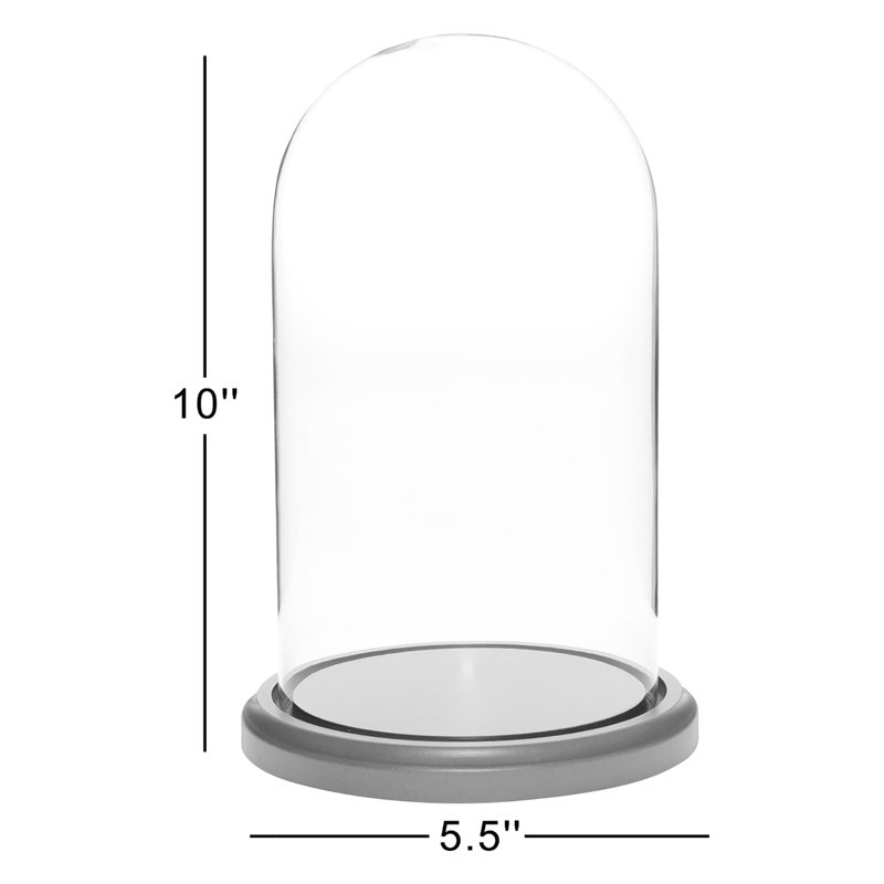 Cloche à dôme en verre 5,5 "x 10" Jenett, Base en placage de bois noir