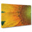 Petals Of The Yellow Sunflower - Wrapped Canvas-55366560
