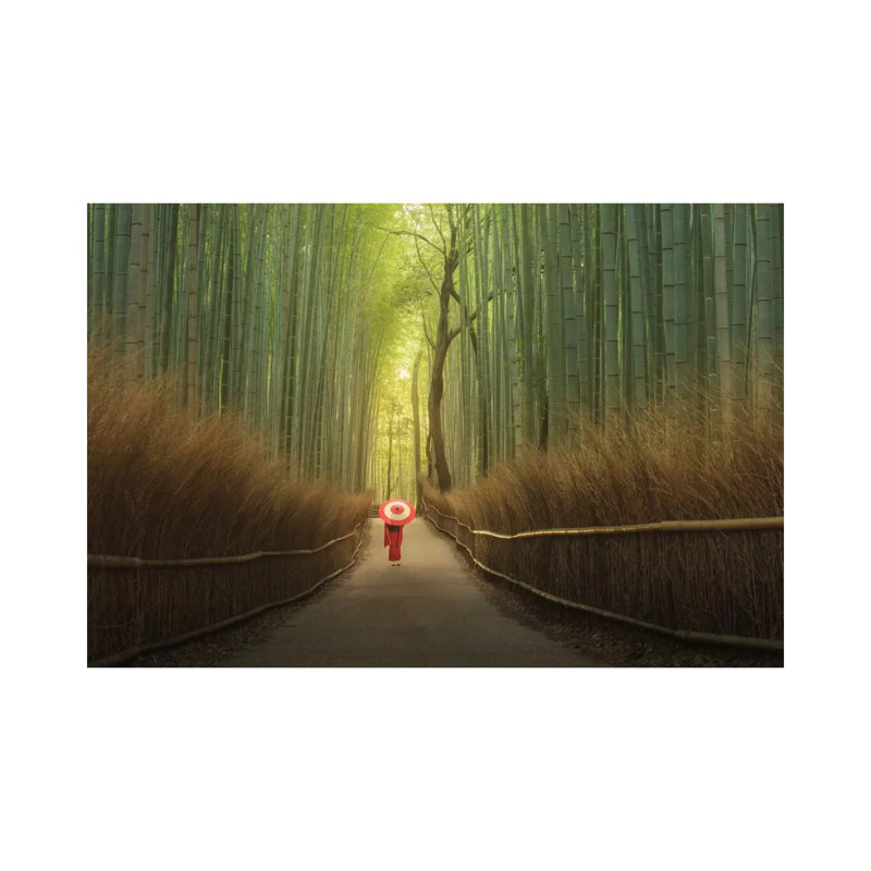 Bamboo Forest In Japan by Daniel Kordan - Print on Canvas, 20.32 cm H x 30.48 cm W, Wrapped Canvas