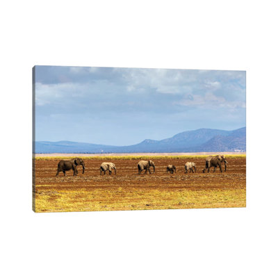 Row of Elephants Walking in Dried Lake II 1 Piece Wall Art on Canvas