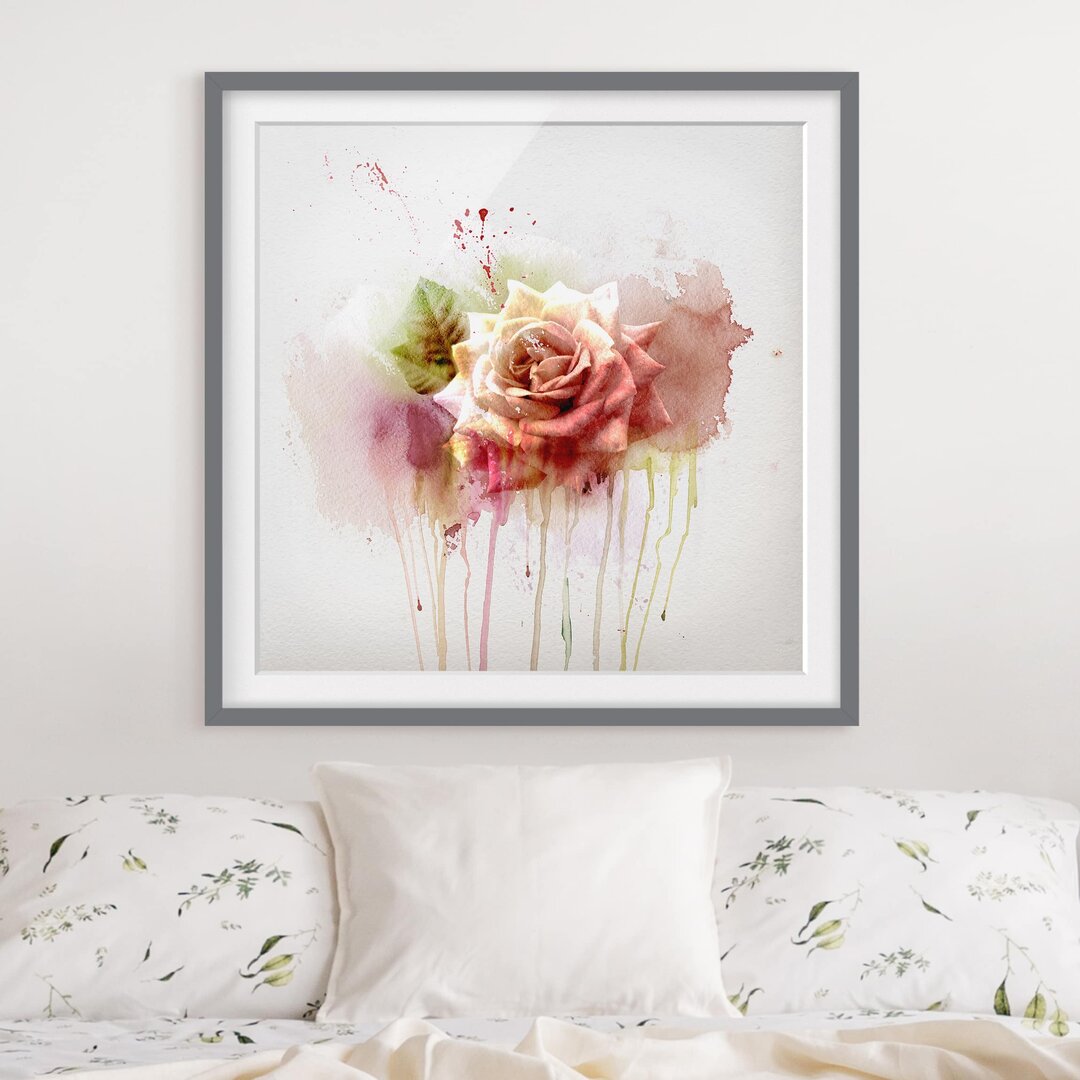 Gerahmter Kunstdruck Watercolour Rose