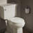 Ridgewood Toilet Seat-3834739-91059861