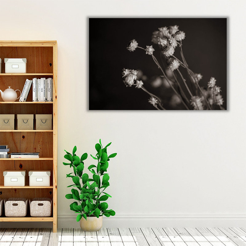 «Daisy Study Black and White», reproduction d'art sur toile, H 20 po x l 30 po