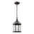 Roscoe 1 -Bulb 13.5" H Outdoor Hanging Lantern-1680732184