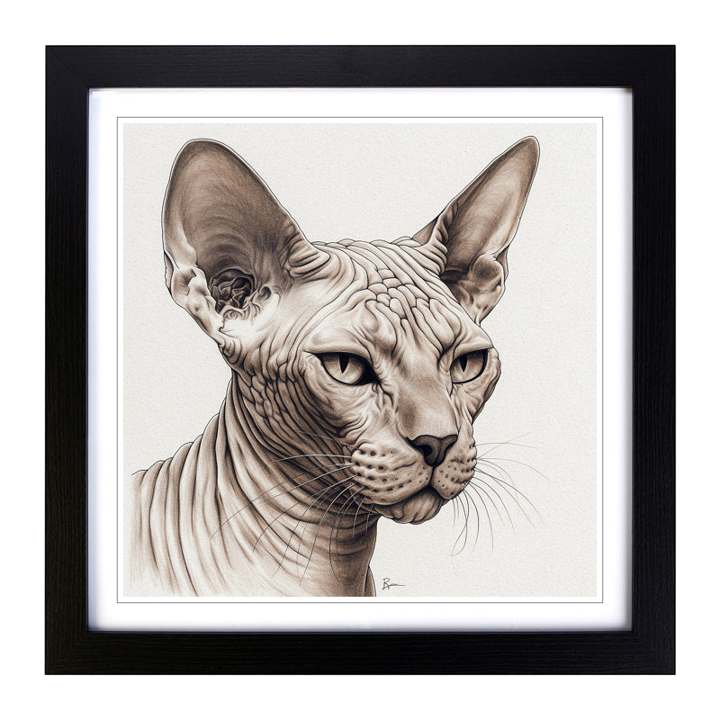 Sphynx Cat Drawing No.1 - Framed Print, Black
