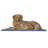 Muddy Paws Chenille Towel and Shammy Pet Mat-26114037-27041470