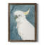 Cockatoo Portrait II, toile encadrée de qualité supérieure - prête à être accrochée-681193315-681193323