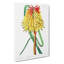 Hot Poker Flower - Wrapped Canvas-55323833