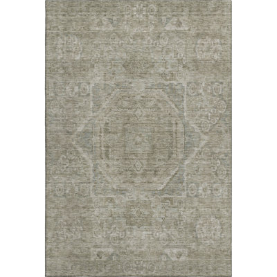 Premium Machine Washable Lubbers AMF1743 Global Rug