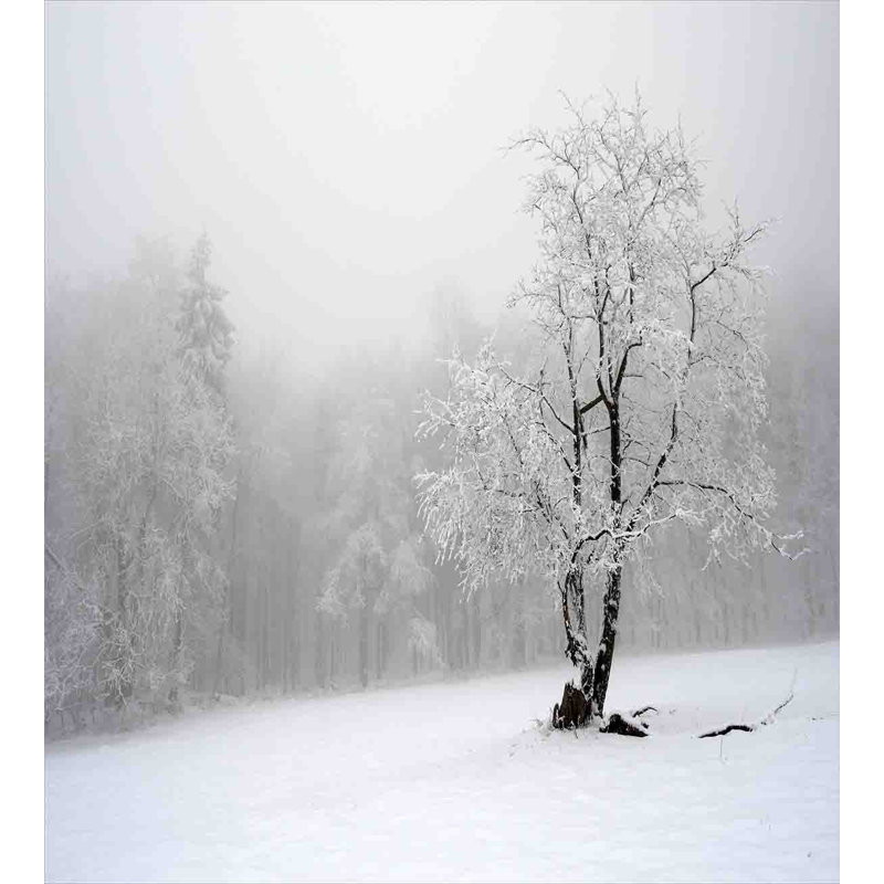 Winter Landscape Twin Duvet Cover Set with Pillow Sham