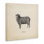 Art mural sur toile Baa Farm Sheep Sounds par Wild Apple Portfolio-372622222