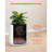 11.8 in Cylinder Ceramic Planter Pot with Saucer Drainage Holes Home Decor