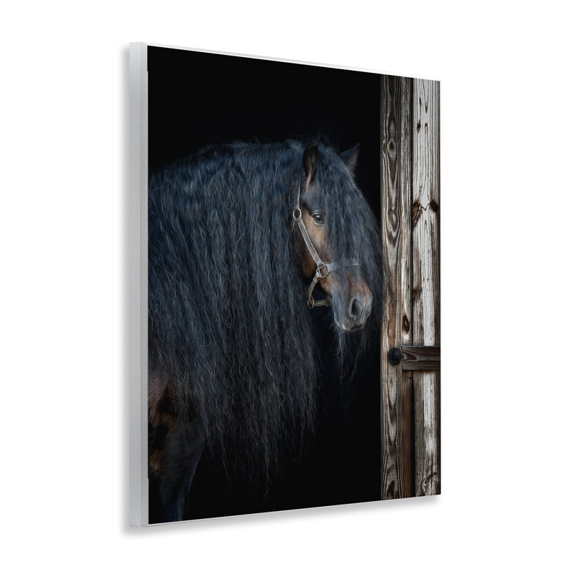 Cheval avec crinière ondulée, art par PHBurchett