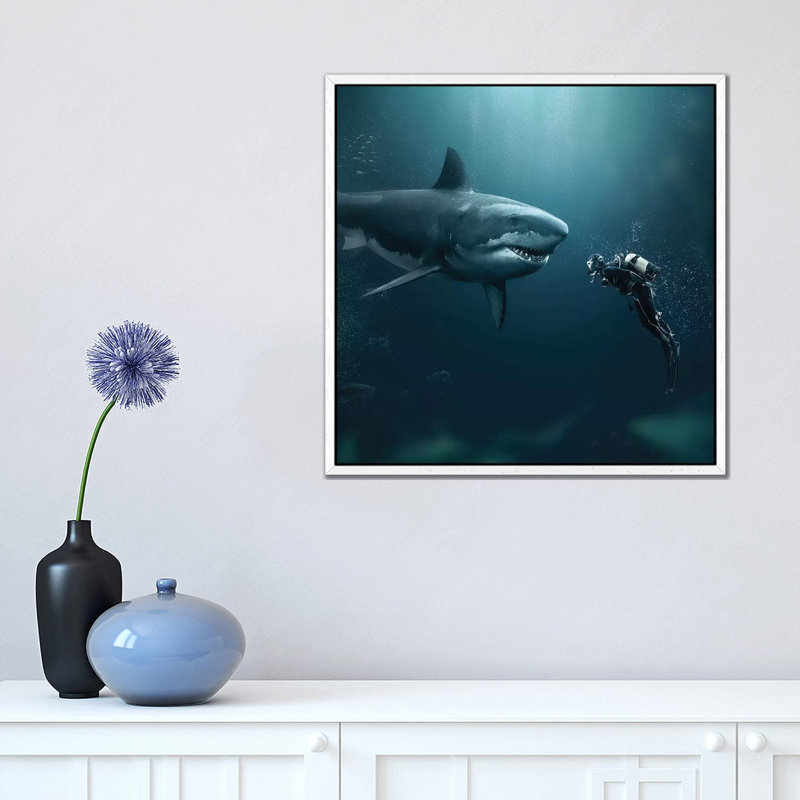 Shark Meets Diver by Zenja Gammer - Print on Canvas, 45.72 cm H x 45.72 cm W, White Framed