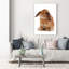 Rabbit - Wrapped Canvas Print