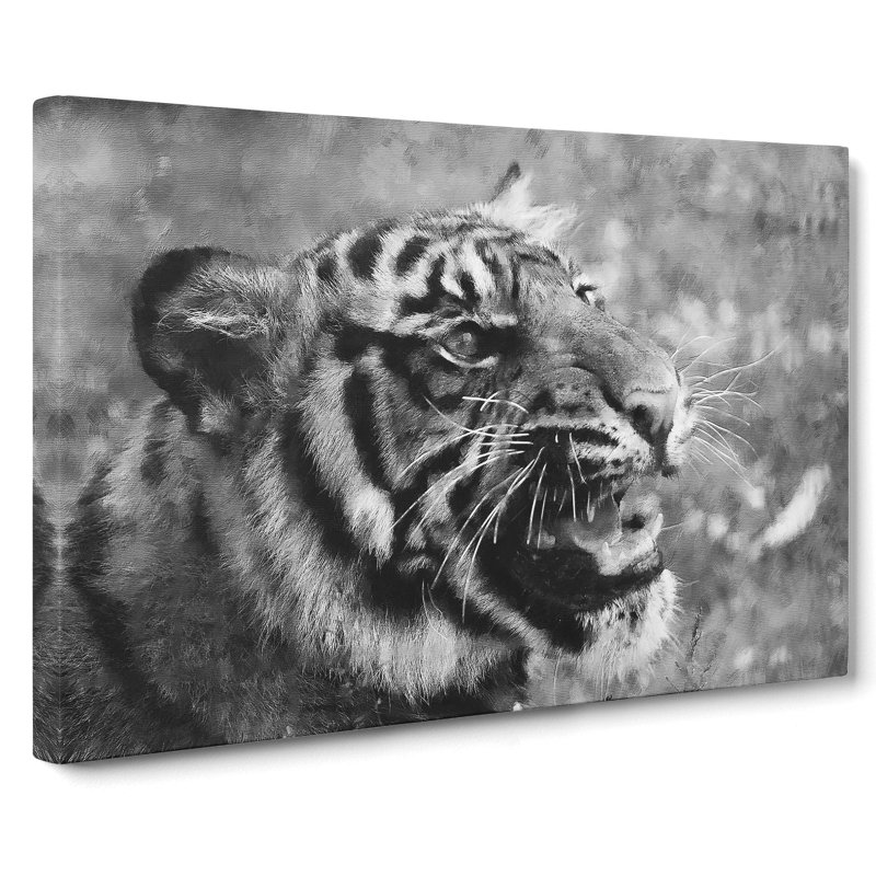 Tiger Vol.4 - Wrapped Canvas, 35cm H x 50cm W x 3cm D