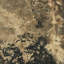 Attrition Print by Paul Meyer