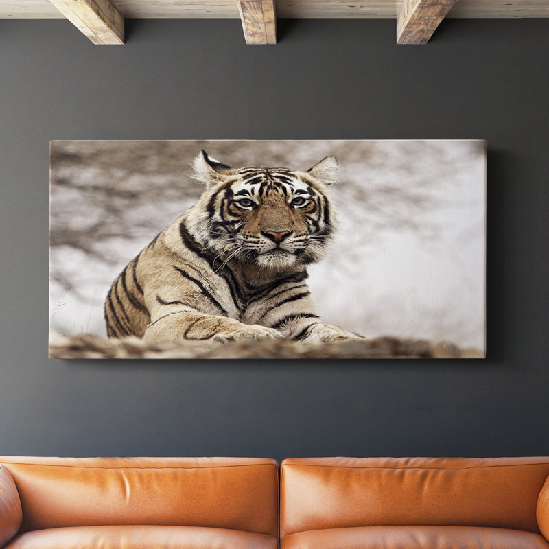 Tigre royal du Bengale - toile tendue avec châssis - prête à être accrochée, H 16 po x l 32 po