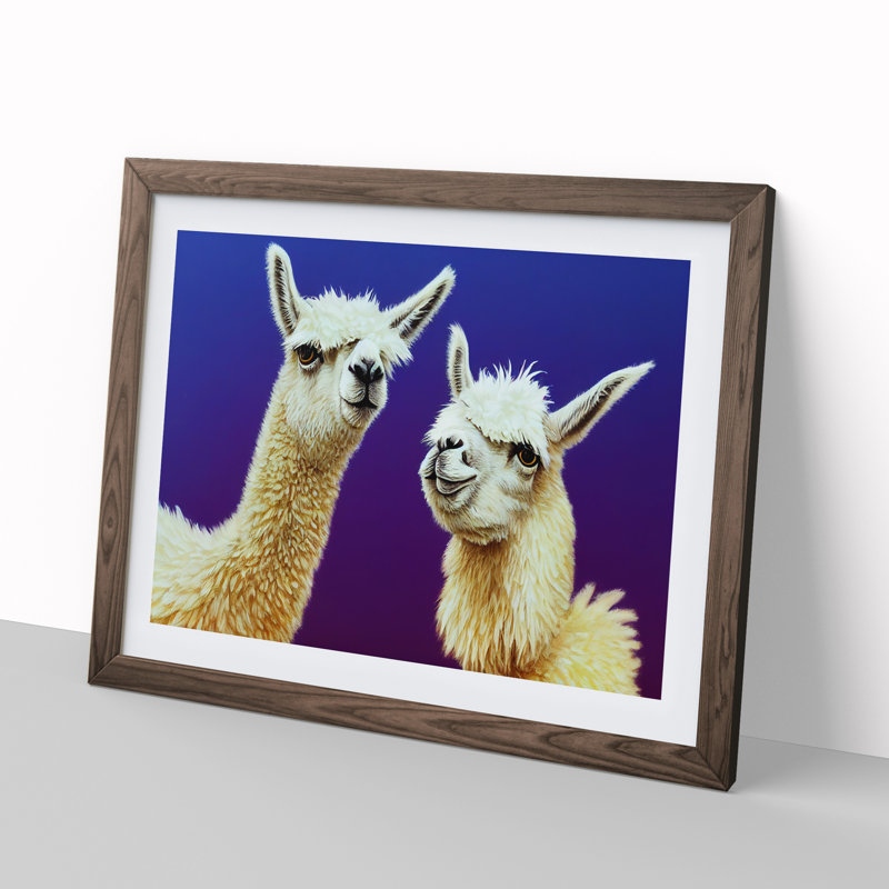 Thrilling Llamas - Single Picture Frame Print, 25cm H x 34cm W x 2cm D, Walnut Framed