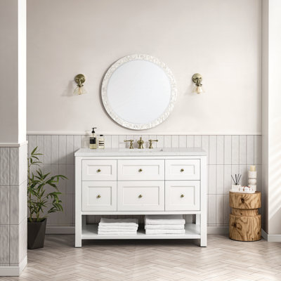 Breckenridge 48'' Single Bathroom Vanity with Top