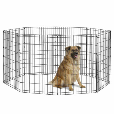  Stylo d'exercice New World 36 pouces