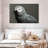 African Grey Parrot-107701817