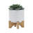 5 Inch Tribal Ceramic Planter with Wooden Stand, Perfect for Indoor Greenery and Modern Decor