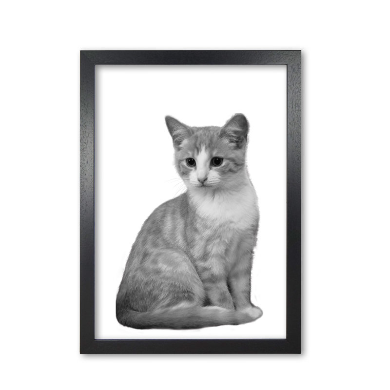 Cat - Print, Black Grain Frame, 42 cm H x 30 cm W x 5 cm D